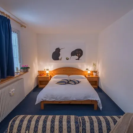 Hotel Sport Alpina 4*